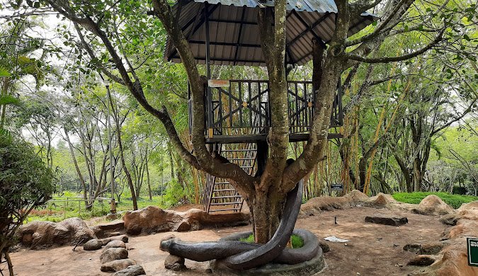 Mangalore to Chikkamagaluru cab services